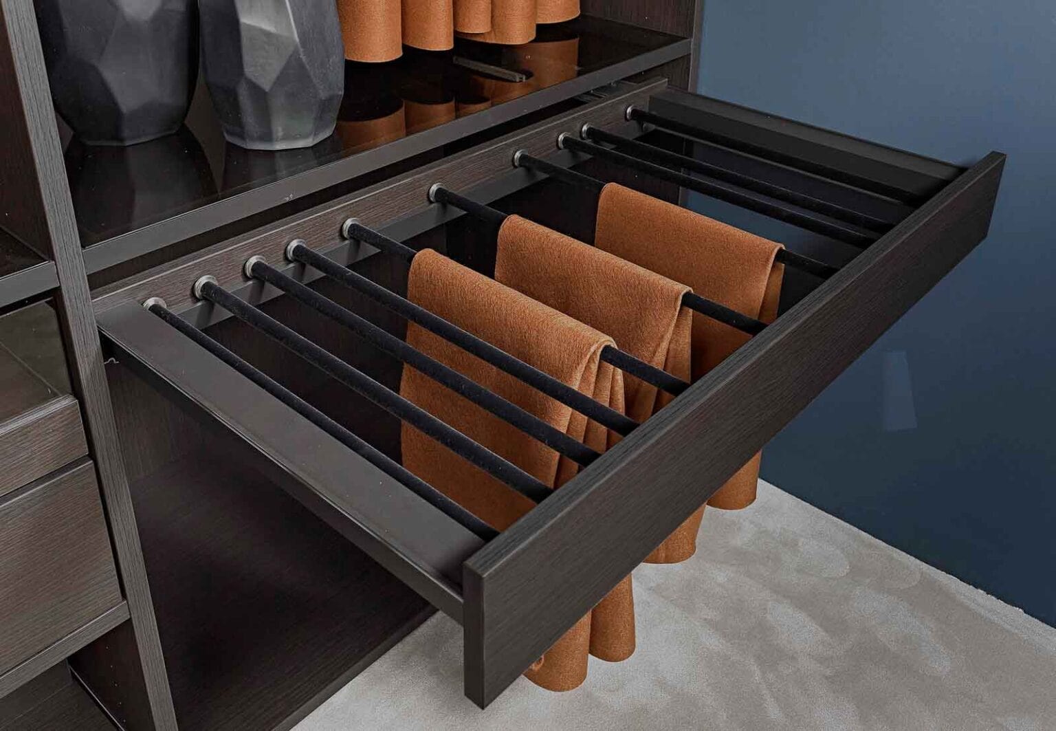 Ankleidezimmer mit Glasfronten – ausgezogener Hosenhalter mit Hosen