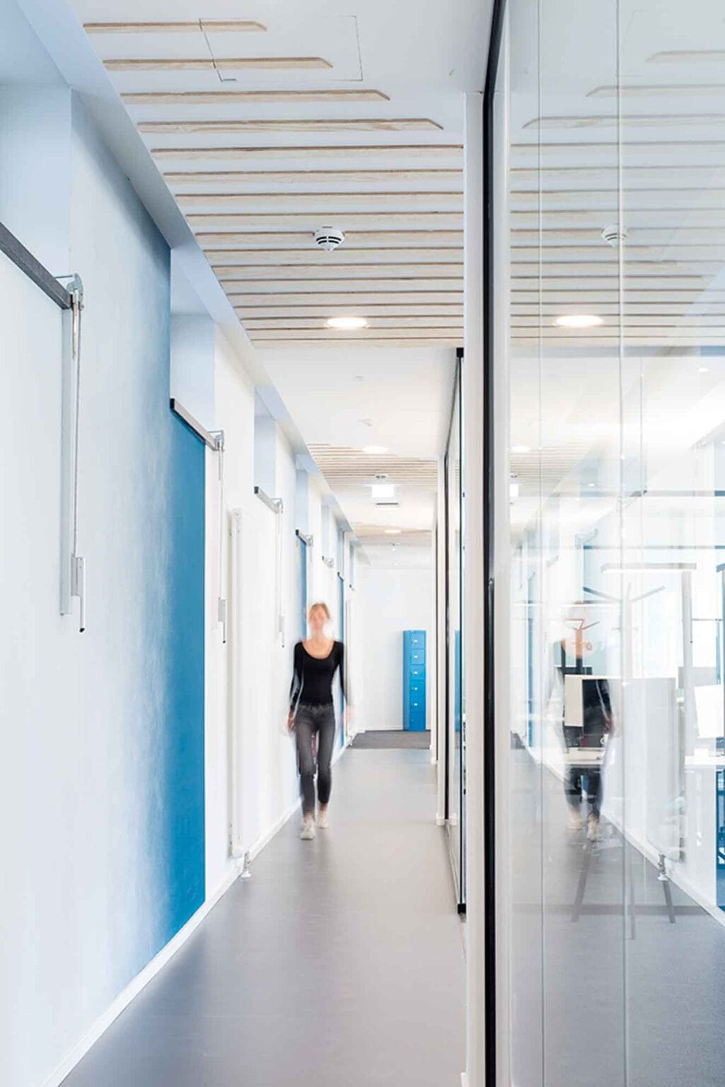 Projekt: MOIA Office I – Flur mit Glaswänden und blauer Wandfläche